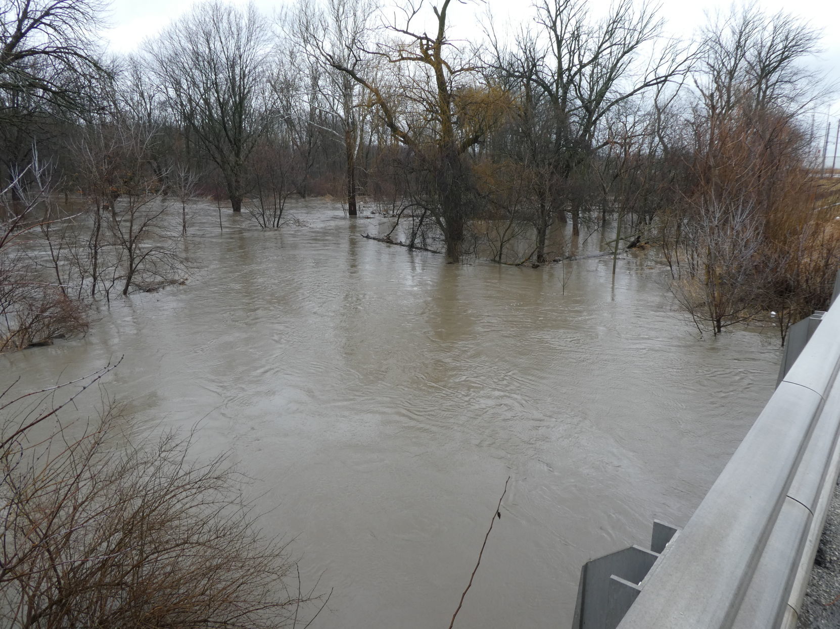 Flood